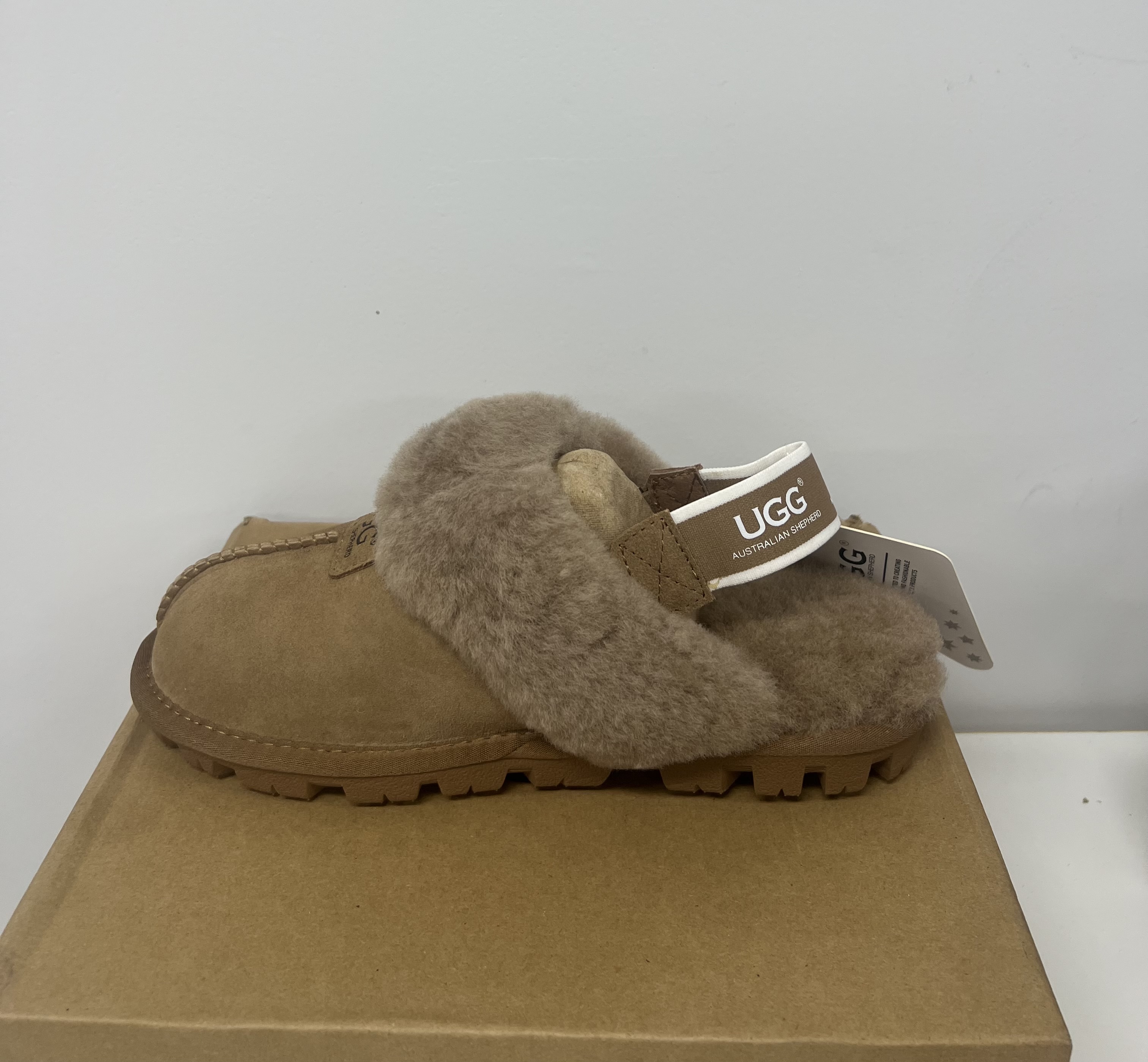 UGG Australian Shepherd (UGG 오스트레일리안 셰퍼드) 
